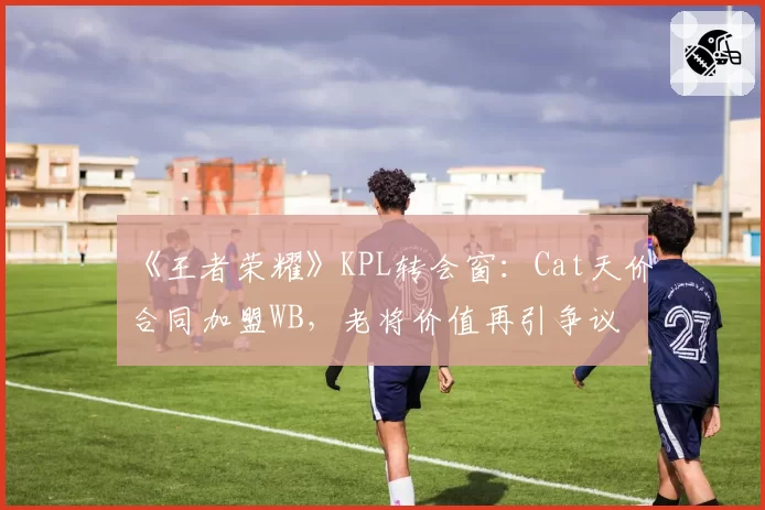 《王者荣耀》KPL转会窗：Cat天价合同加盟WB，老将价值再引争议