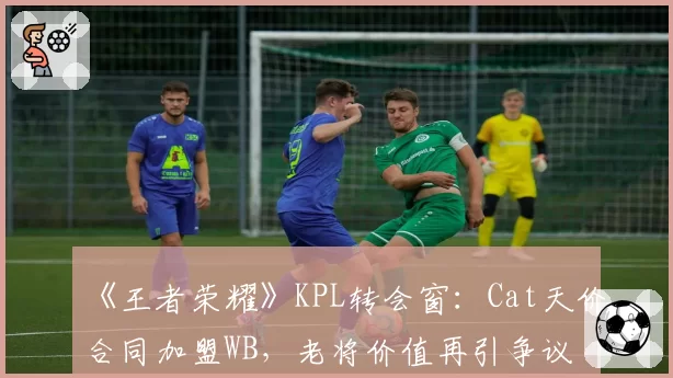 《王者荣耀》KPL转会窗：Cat天价合同加盟WB，老将价值再引争议