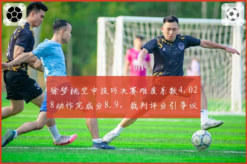 徐梦桃空中技巧决赛难度系数4.028动作完成分8.9，裁判评分引争议